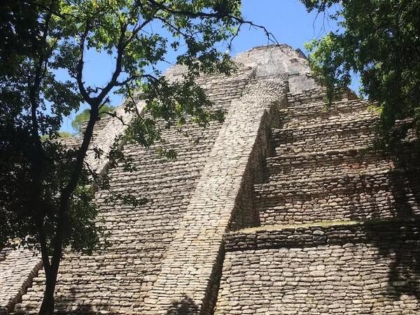 Mayaların it ticarəti etdiyinə dair sübutlar tapıldı