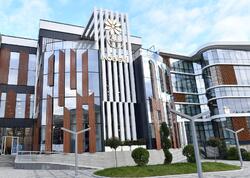 Qadınların biznesdə artan rolu: Dövlət dəstəyindən dayanıqlı inkişafa