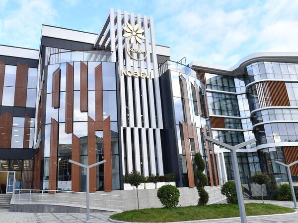 Qadınların biznesdə artan rolu: Dövlət dəstəyindən dayanıqlı inkişafa