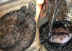 “Qiyamətin xəbərçisi” 1000 metr dərinlikdən sahilə çıxdı - <span class="color_red">FOTO</span>