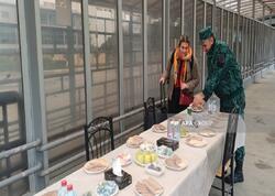 Almaniya və Britaniya vətəndaşları İrandan Azərbaycana təxliyə edildi