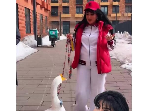 Afətin ərinin "8 MART HƏDİYYƏSİ" gündəm oldu - <span class="color_red">VİDEO</span>