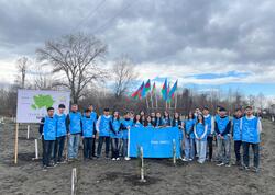 IDEA Zaqatalada kütləvi ağacəkmə aksiyası təşkil edib - <span class="color_red">FOTO</span>