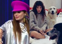 “İtlərim məni yerlə sürüdülər, yaralandım"