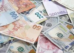 Bu ölkədə pullar dəyişir: Tarixi şəxsiyyətləri təbiət mənzərələri əvəz edəcək