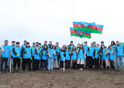 IDEA Şəki və Qəbələdə kütləvi ağacəkmə aksiyası təşkil edib - <span class="color_red">FOTO</span>