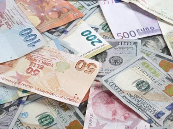 Bu ölkədə pullar dəyişir: Tarixi şəxsiyyətləri təbiət mənzərələri əvəz edəcək