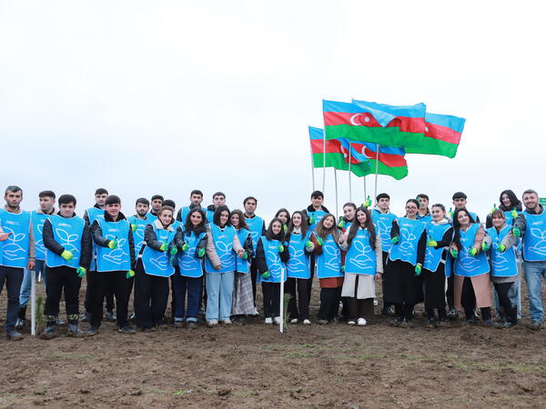 IDEA Şəki və Qəbələdə kütləvi ağacəkmə aksiyası təşkil edib - <span class="color_red">FOTO</span>