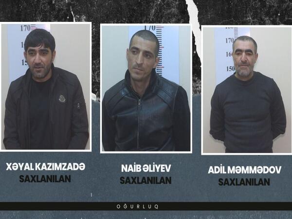 Antik əşyalar oğurlayan şəxslər saxlanıldı