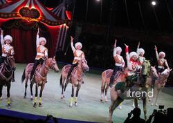 Bakıda ilk dəfə olaraq Türkmənistanın əfsanəvi "Qalkınış" atçılıq şousu keçirilib - <span class="color_red">FOTO</span>