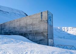 Bəşəriyyətin "Sıfır nöqtəsi": Qlobal fəlakətdən sağ çıxacaq yeganə yer