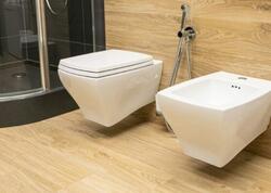 Avropadakı bəzi evlərdə niyə yanaşı iki unitaz var?