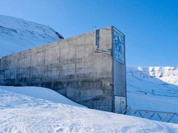 Bəşəriyyətin "Sıfır nöqtəsi": Qlobal fəlakətdən sağ çıxacaq yeganə yer