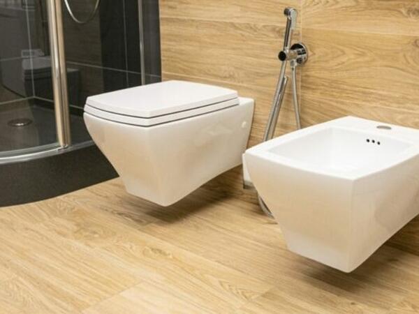 Avropadakı bəzi evlərdə niyə yanaşı iki unitaz var?