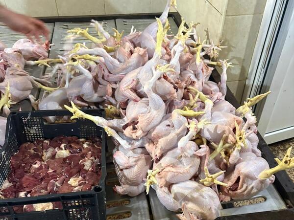 Toyuq kəsimi sexinin qanunsuz fəaliyyət göstərdiyi aşkarlandı - <span class="color_red">FOTO</span>