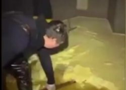 Kərə yağı istehsalı ilə bağlı qalmaqallı görüntülər - VİDEO