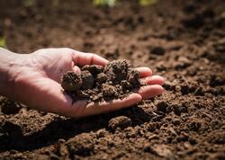 Torpaq yemək istəyi nəyin gizli əlamətidir?