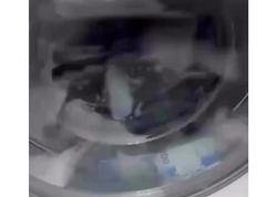 200 manatlıqları paltaryuyanda YUDULAR - <span class="color_red">VİDEO</span>