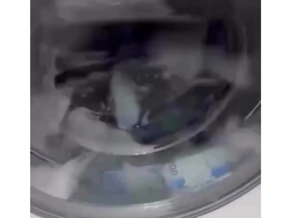 200 manatlıqları paltaryuyanda YUDULAR - <span class="color_red">VİDEO</span>