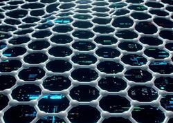 Heç kim artıq zibilə atmayacaq - Gələcək bu qabığın içindədir