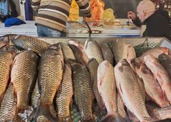 Balıq bahalaşıb? - Bakıda bazar qiymətləri BELƏDİR