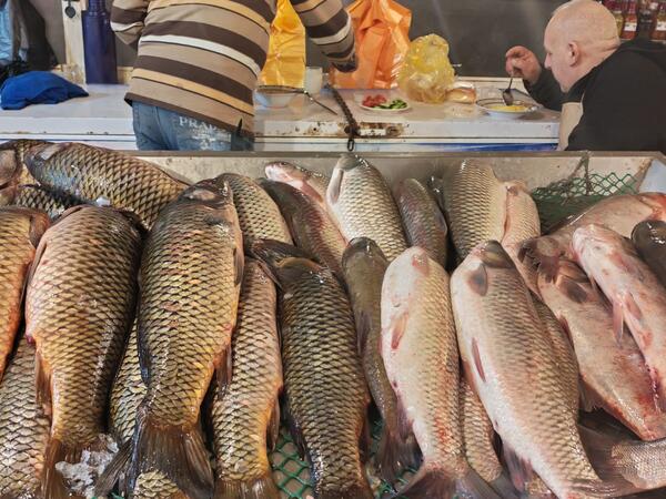 Balıq bahalaşıb? - Bakıda bazar qiymətləri BELƏDİR