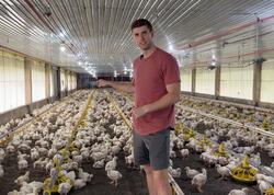 İldə 100 min dollardan çox qazanırdı - Hər şeyi atıb "toyuq işi"nə BAŞLADI