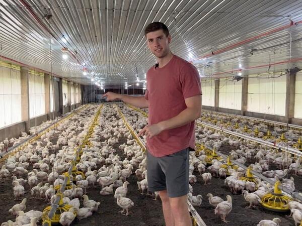 İldə 100 min dollardan çox qazanırdı - Hər şeyi atıb "toyuq işi"nə BAŞLADI