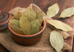 Dəfnə yarpağı sayəsində milyonlar QAZANDI