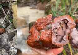 Üstündən əzib keçirlər, amma içindən xəzinə çıxır - <span class="color_red">FOTO</span>