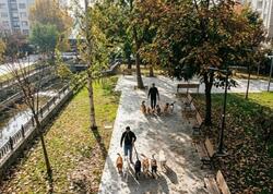 Gördüyü işdən ayda 7500 qazanır: Heç bir xərci yoxdur, qazancı özünə qalır