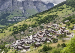 Kəndlərdə doludur: qramı 100 manata satılır – FOTO