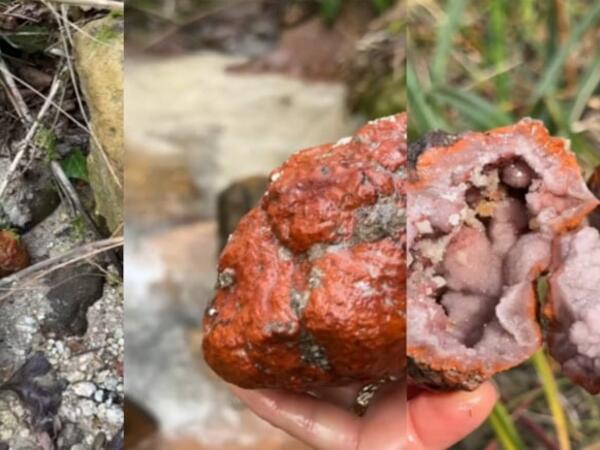 Üstündən əzib keçirlər, amma içindən xəzinə çıxır - <span class="color_red">FOTO</span>