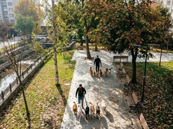 Gördüyü işdən ayda 7500 qazanır: Heç bir xərci yoxdur, qazancı özünə qalır