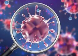 633 şagird norovirusdan zəhərlənib