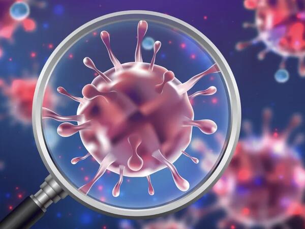 633 şagird norovirusdan zəhərlənib