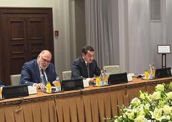 Hikmət Hacıyev TDT ölkələri rəhbərlərinin köməkçilərinin görüşündə iştirak edib