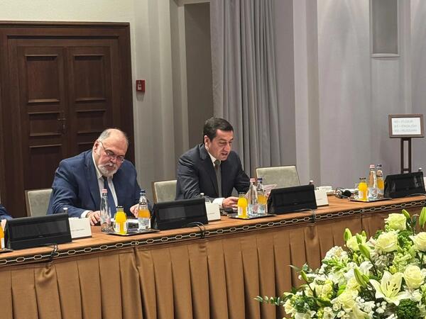 Hikmət Hacıyev TDT ölkələri rəhbərlərinin köməkçilərinin görüşündə iştirak edib