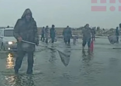 Bakıda göl daşdı, balıqlar ətrafa yayıldı - <span class="color_red">FOTO</span>