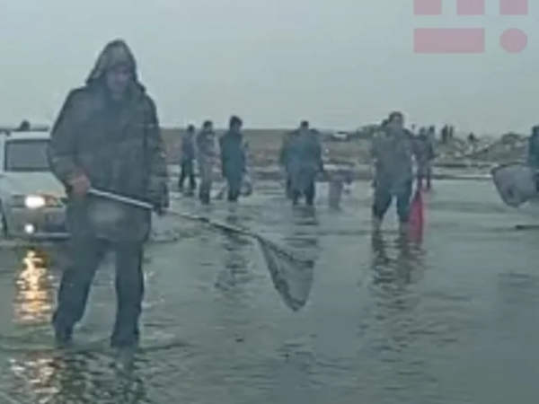 Bakıda göl daşdı, balıqlar ətrafa yayıldı - <span class="color_red">FOTO</span>