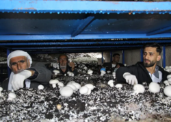 2 min illik mağaranı çörək ağacına çevirdi: Ayda 3 ton məhsul götürür - <span class="color_red">FOTO</span>