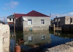 Ucuz ətin şorbası olmadı -  "Makler evlərinin fəsadları