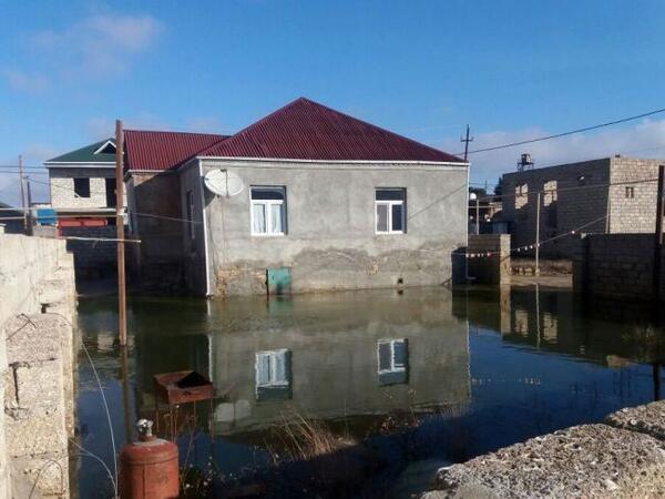 Ucuz ətin şorbası olmadı -  "Makler evlərinin fəsadları
