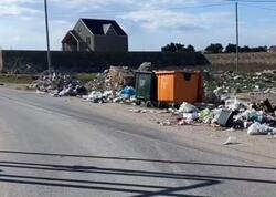 Bakının bu qəsəbəsində antisanitar VƏZİYYƏT - Təmizlik işləri niyə aparılmır?