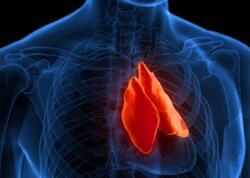 "Gərəksiz" deyilən həmin orqan xərçənglə mübarizə aparırmış: Faydasızdır deyib əməliyyatla götürürdülər