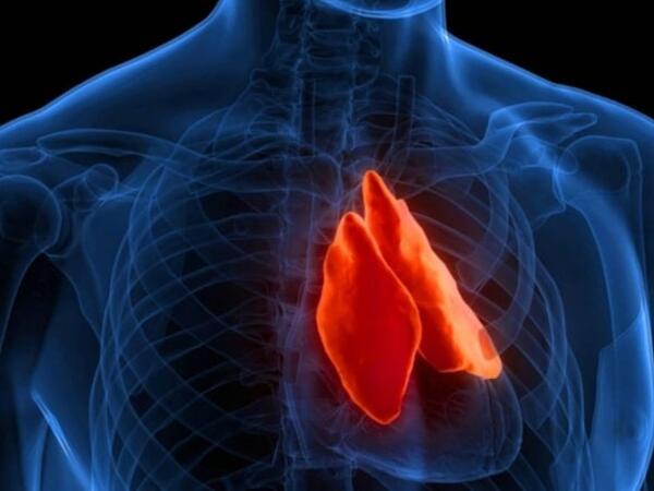 "Gərəksiz" deyilən həmin orqan xərçənglə mübarizə aparırmış: Faydasızdır deyib əməliyyatla götürürdülər