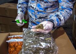 Quru meyvə adı altında ölkəyə narkotik daşındı - ƏMƏLİYYAT