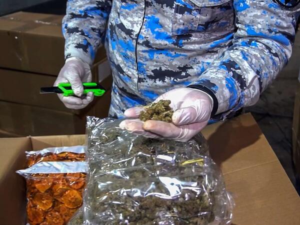 Quru meyvə adı altında ölkəyə narkotik daşındı - ƏMƏLİYYAT