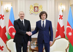Prezidentin İrakli Kobaxidze ilə təkbətək görüşü olub - FOTO