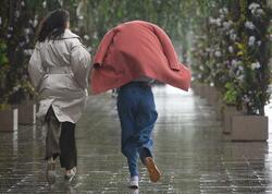 Sabah yağış yağacaq, şimşək çaxacaq, dolu düşəcək
